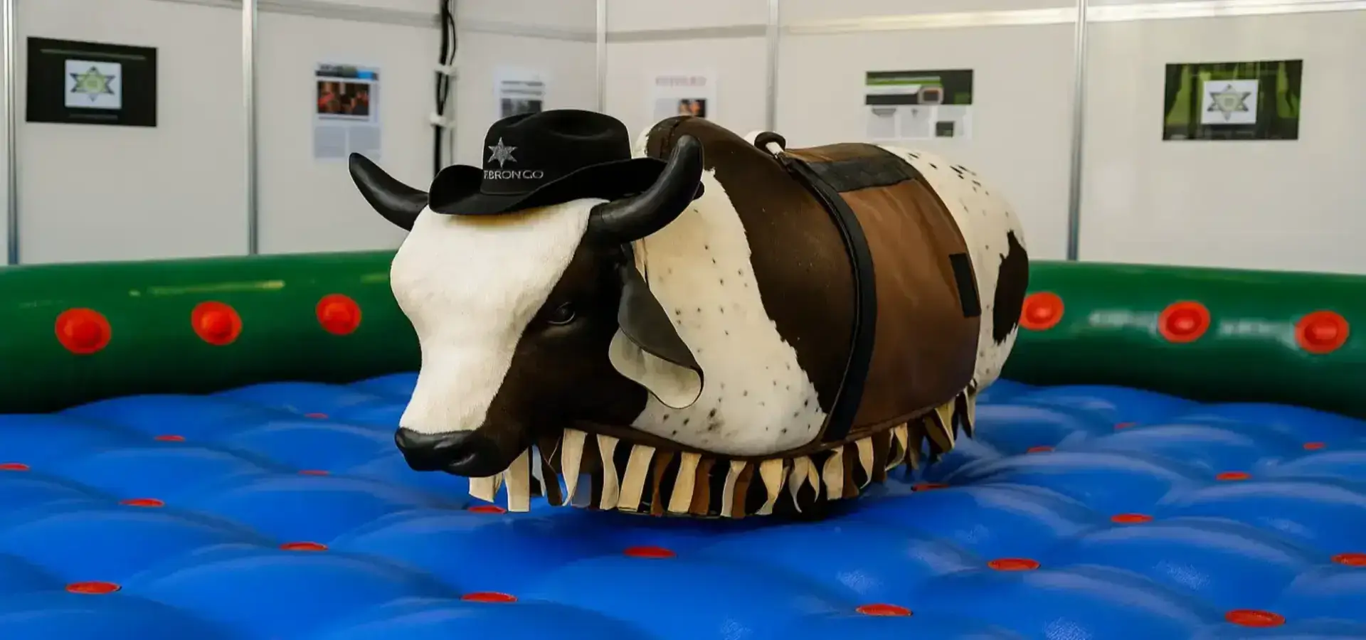 bull rid